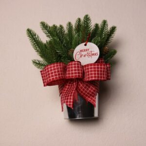 Small table-top holiday decoration. Metal pale full of faux pine needles and pine cones. Complete with cute Christmas gift tag reading "Merry Christmas" in fun festive font. Red and white checkered ribbon to complete the Christmas Cheer.