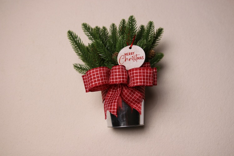 Small table-top holiday decoration. Metal pale full of faux pine needles and pine cones. Complete with cute Christmas gift tag reading "Merry Christmas" in fun festive font. Red and white checkered ribbon to complete the Christmas Cheer.
